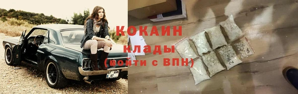 амф Касимов