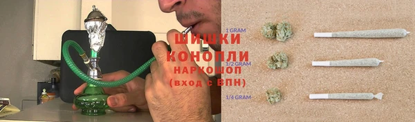 хмурый Карпинск