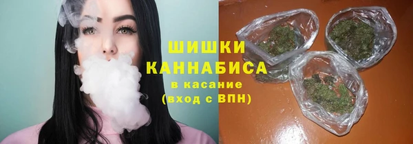 хмурый Карпинск