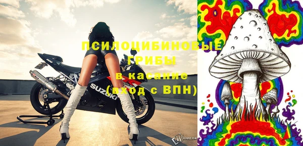 хмурый Карпинск