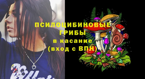 амф Касимов