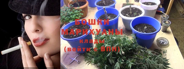 хмурый Карпинск
