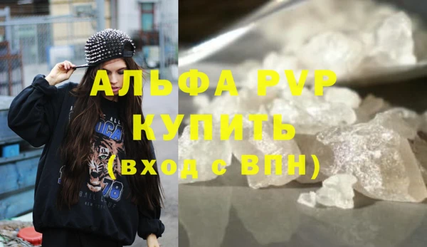 амф Касимов